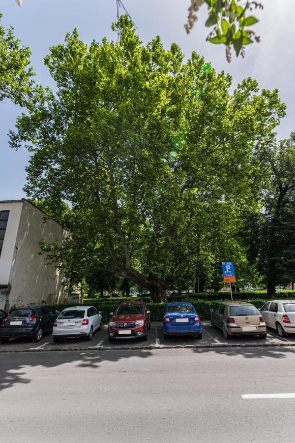 Sabin Apartments Private Parking Брашов Екстер'єр фото