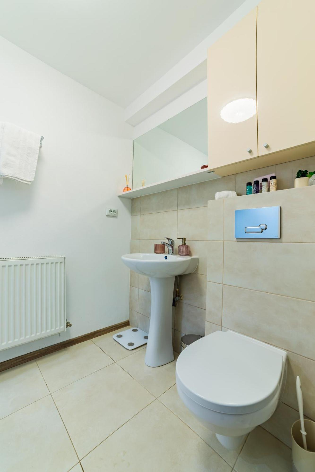 Sabin Apartments Private Parking Брашов Екстер'єр фото