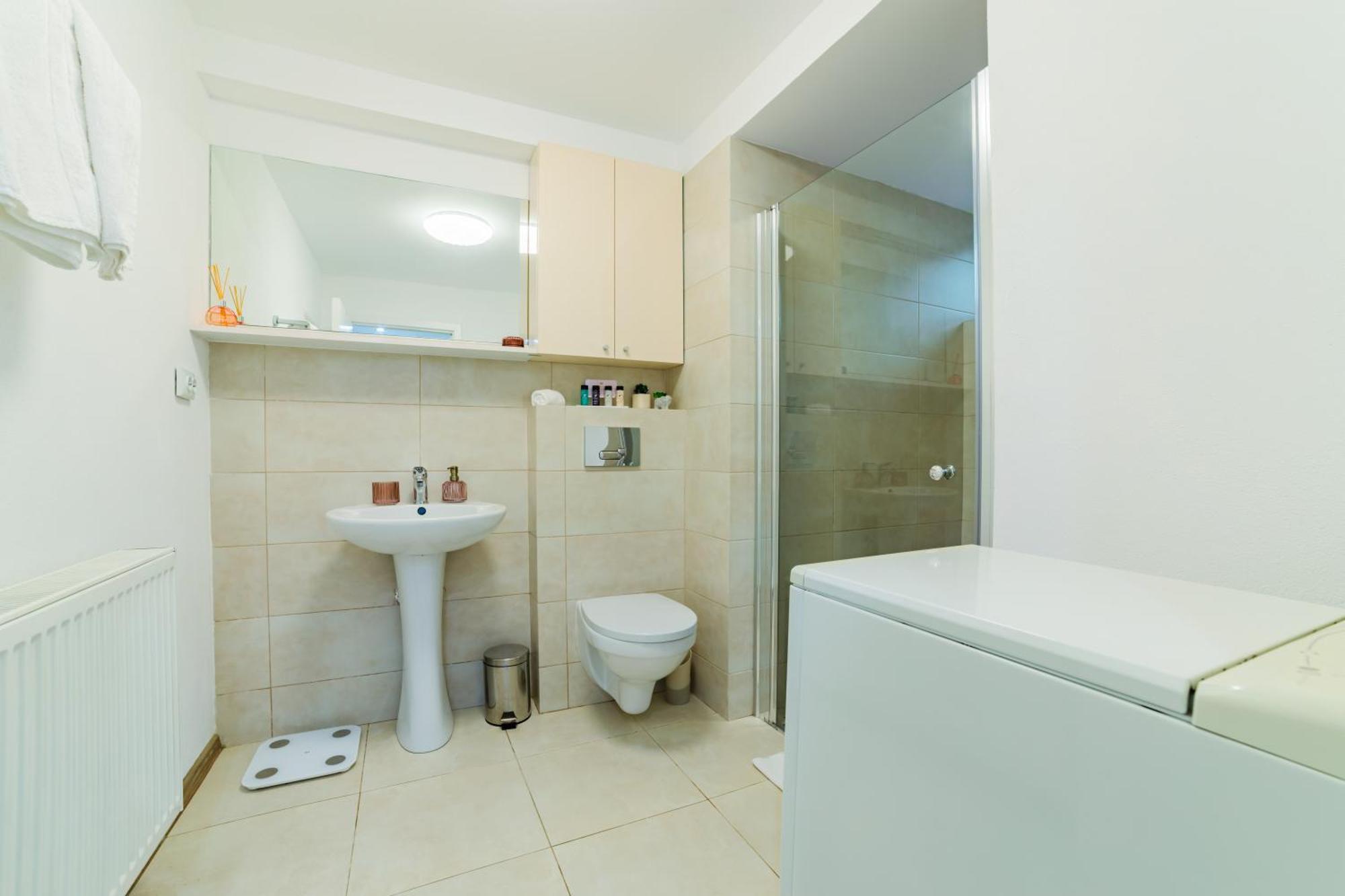 Sabin Apartments Private Parking Брашов Екстер'єр фото